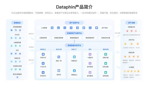 面向2025 數(shù)據(jù)戰(zhàn)略制勝，必備數(shù)據(jù)中臺(tái)系統(tǒng)選型與數(shù)據(jù)處理服務(wù)深度解析